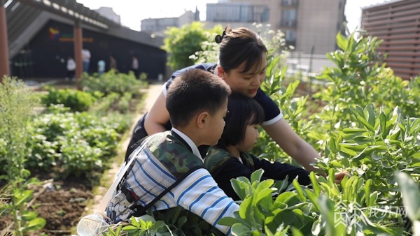 以综合的教育造就完整的儿童 南京这所幼儿园的成果向江南江南体育官方网站体育app下载全国推广jn(图7)