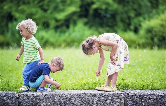 国际影响力江南体育登录幼儿教育理念简览(图17)