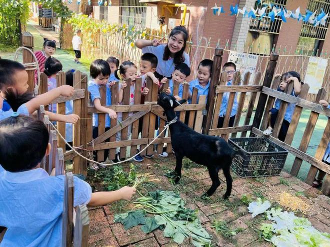 师者模样2024年度万婴幼儿园“优秀教师”： 肖思玉江南体育下载(图2)